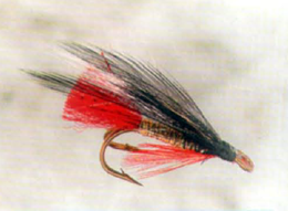 А. Каплун Sigris Red Tail